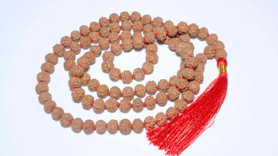 5 Mukhi Rudraksha Mala 7.5mm-8.0mm Rudra Kailash