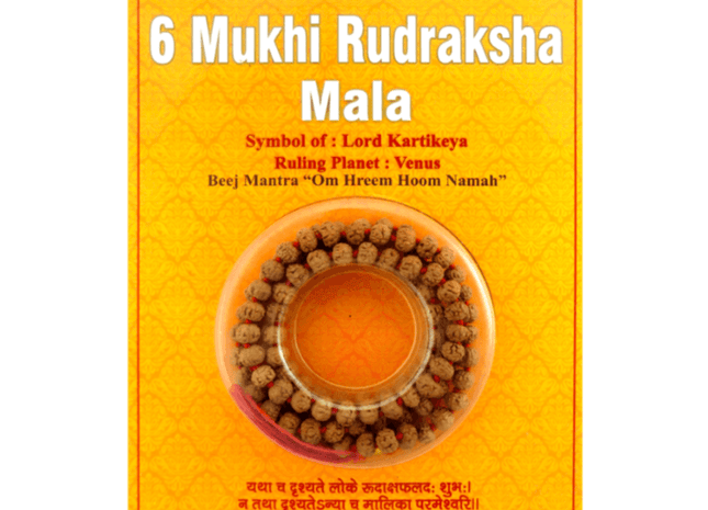 6 Mukhi Six Face Indonesian Rudraksha - Mala - Rudra Kailash