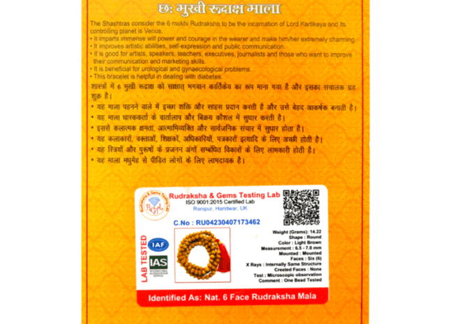 6 Mukhi Six Face Indonesian Rudraksha - Mala - Rudra Kailash