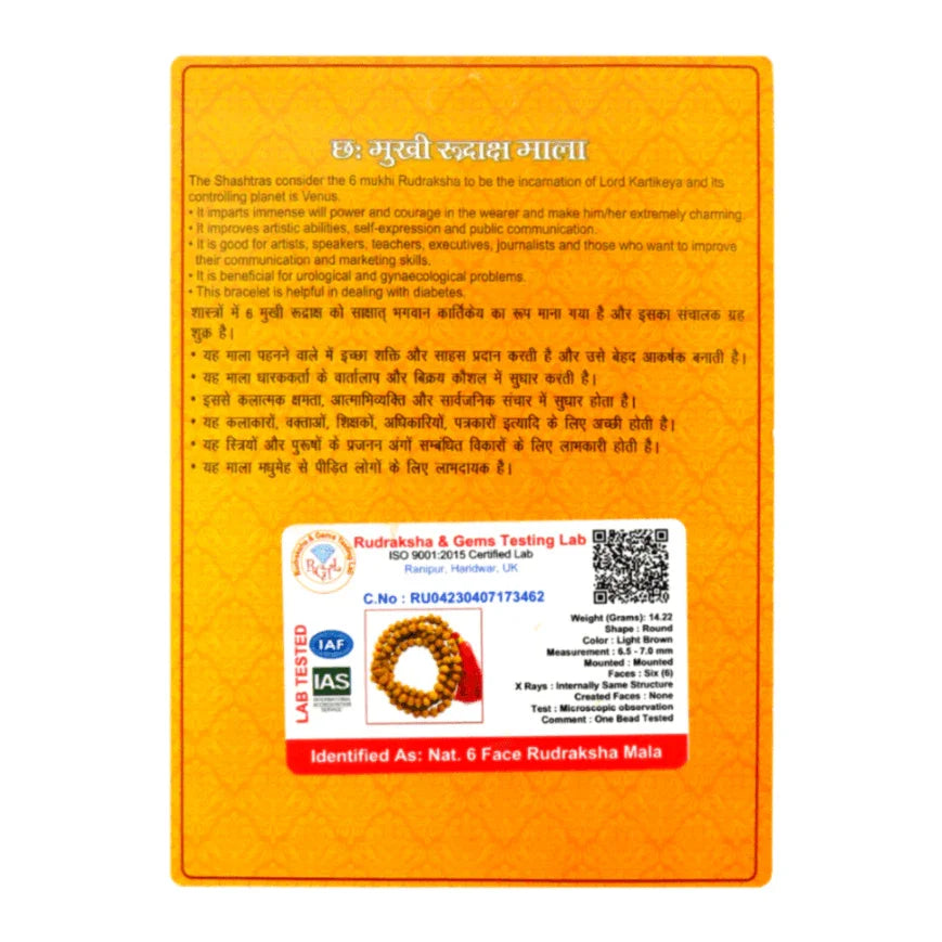 6 Mukhi Six Face Indonesian Rudraksha - Mala - Rudra Kailash