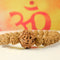 6 Mukhi Nepali Rudraksha Bracelet