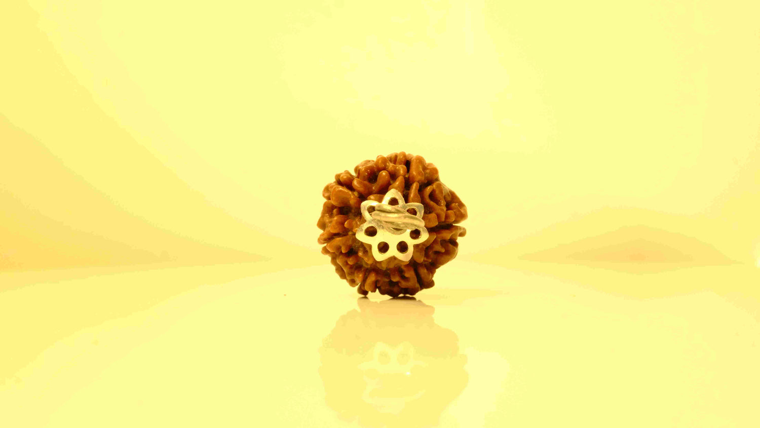 6 Mukhi Nepali Rudraksha with Silver Capping