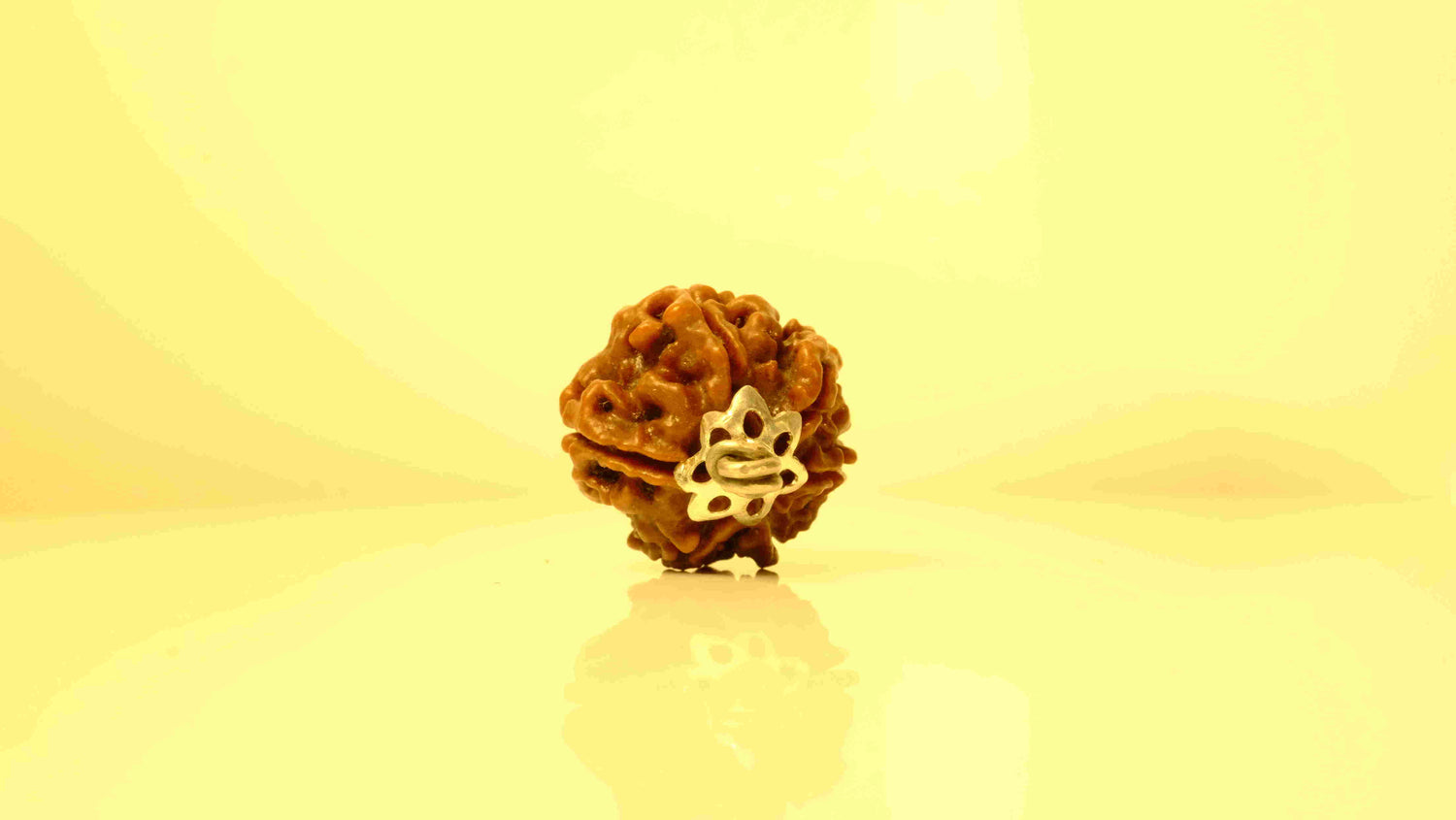 6 Mukhi Nepali Rudraksha with Silver Capping