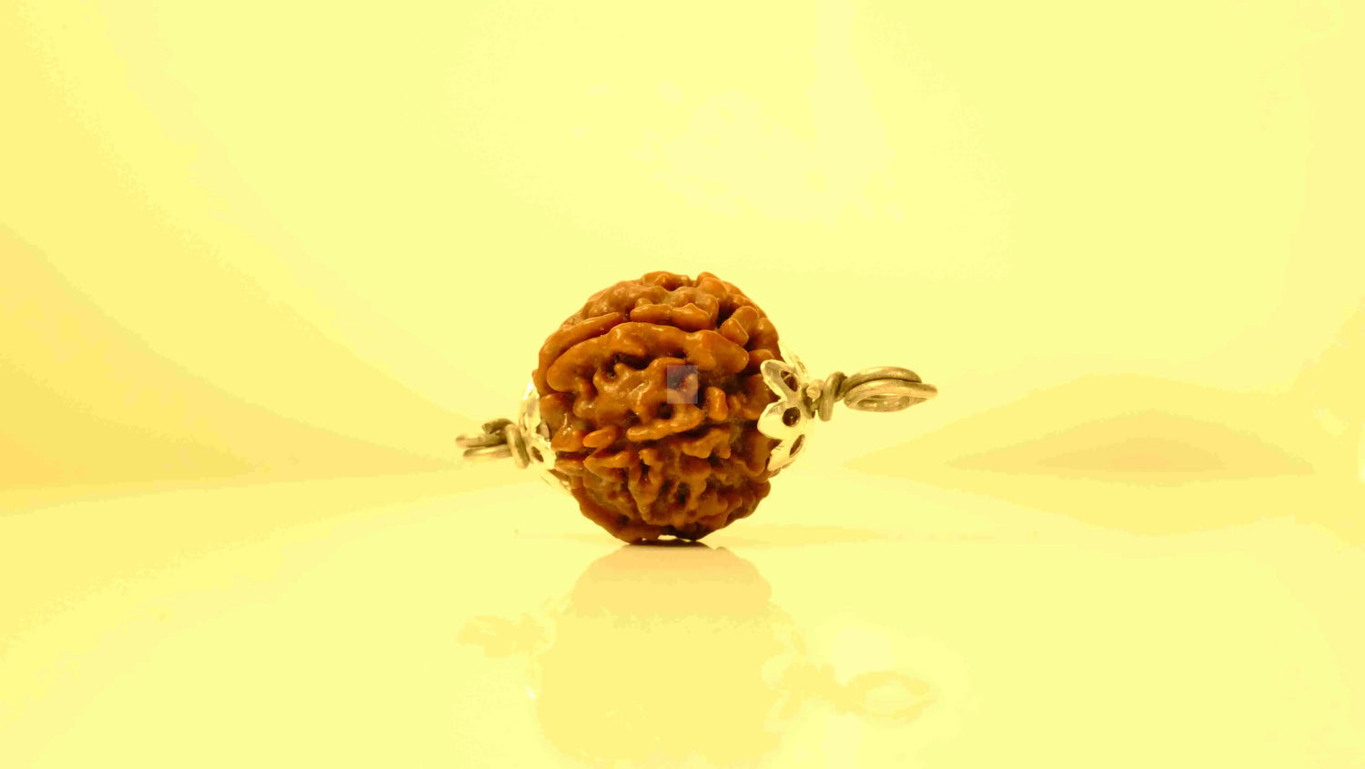 6 Mukhi Nepali Rudraksha with Silver Capping Rudra Kailash
