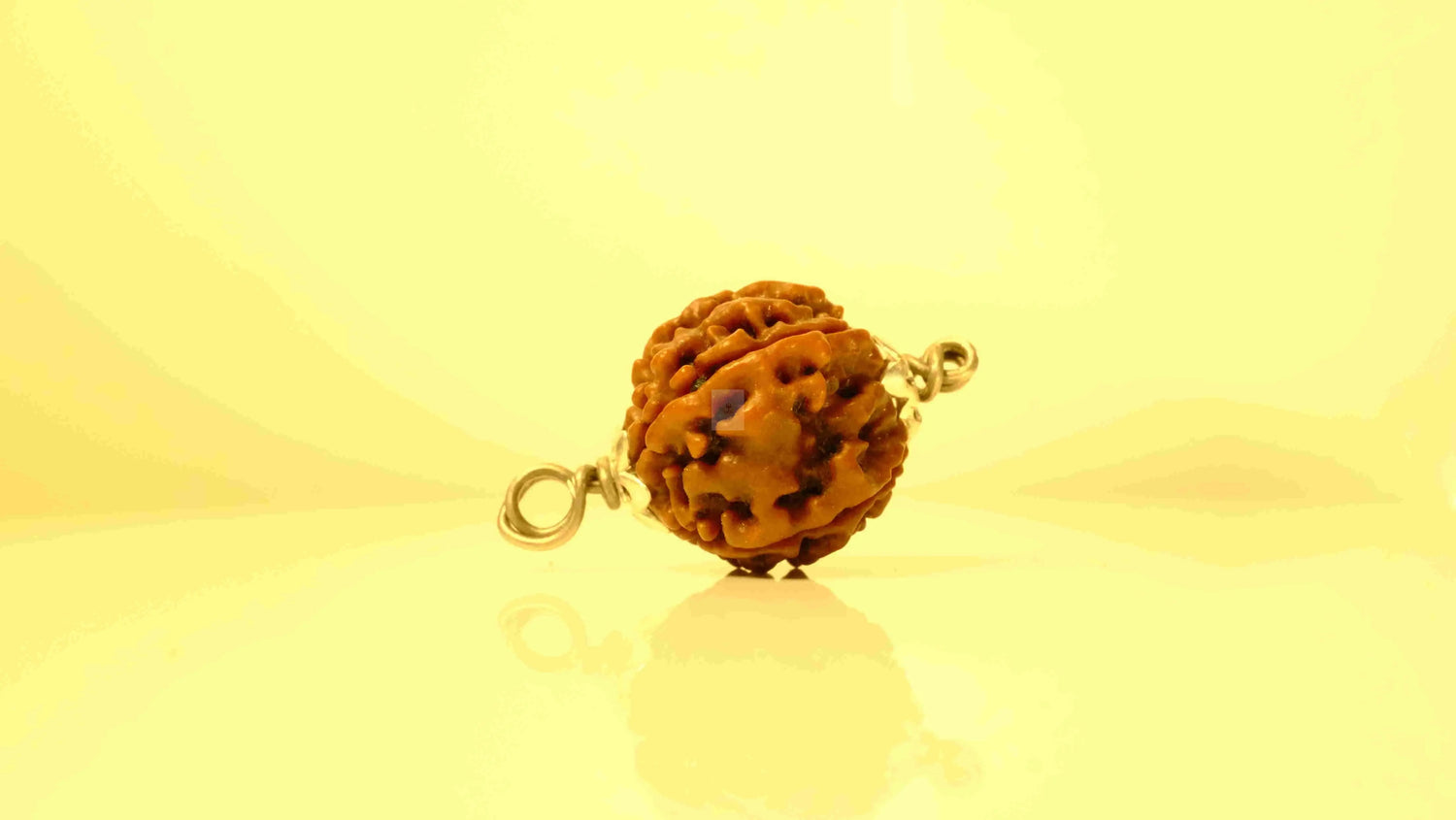 6 Mukhi Nepali Rudraksha with Silver Capping Rudra Kailash