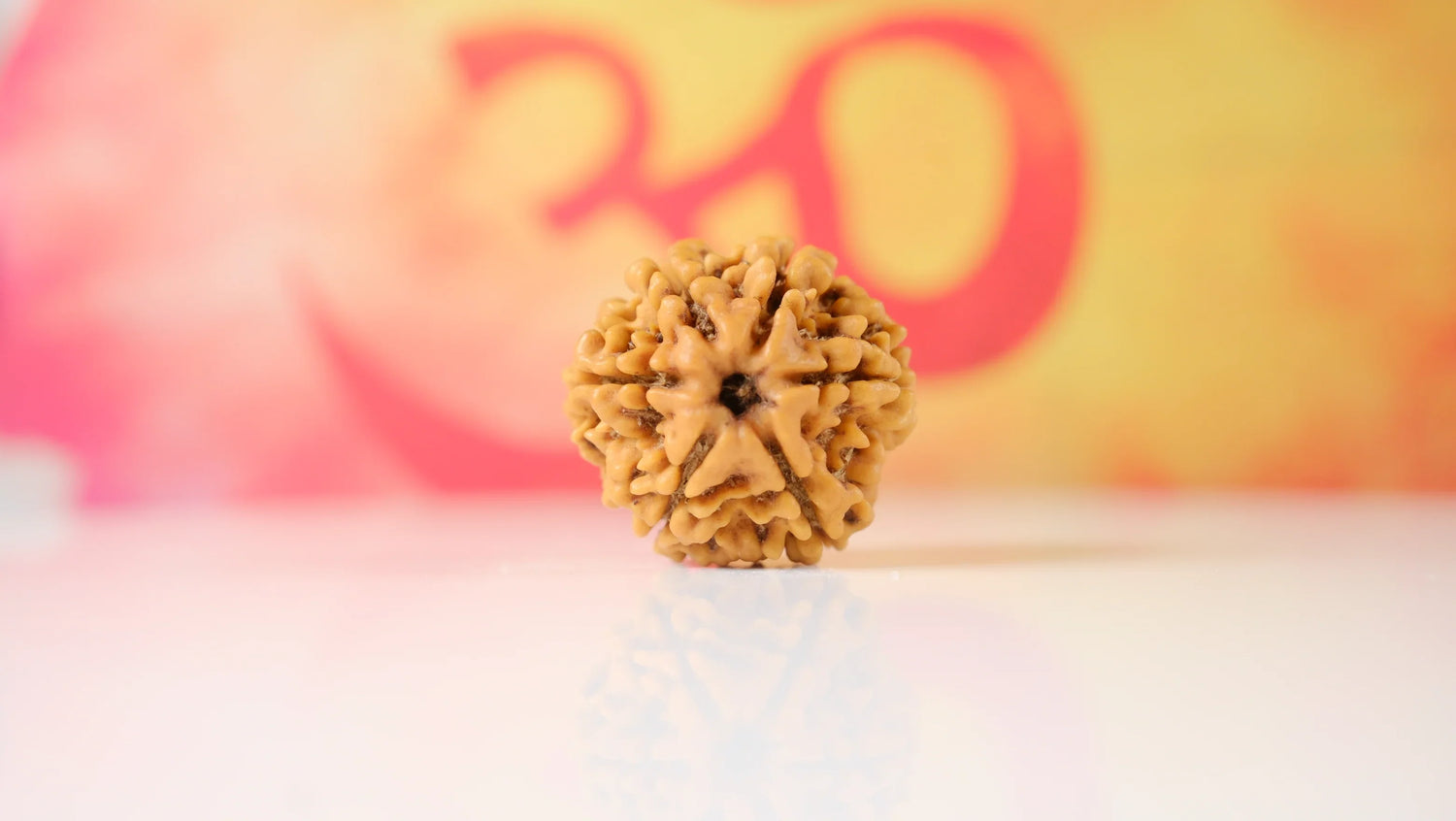 6 Mukhi Rudraksha