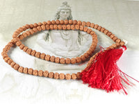 6 Mukhi Rudraksha Mala