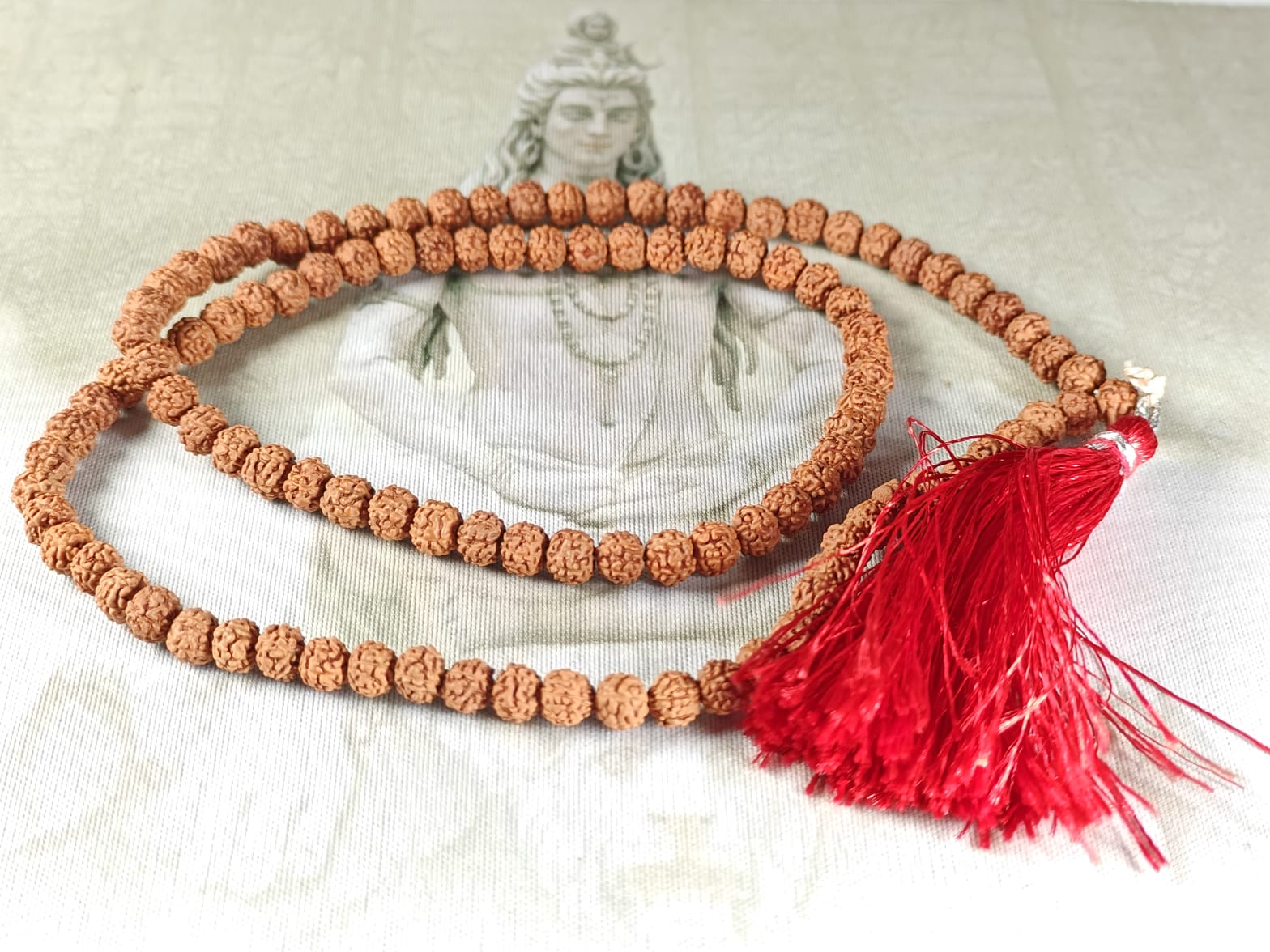 6 Mukhi Rudraksha Mala
