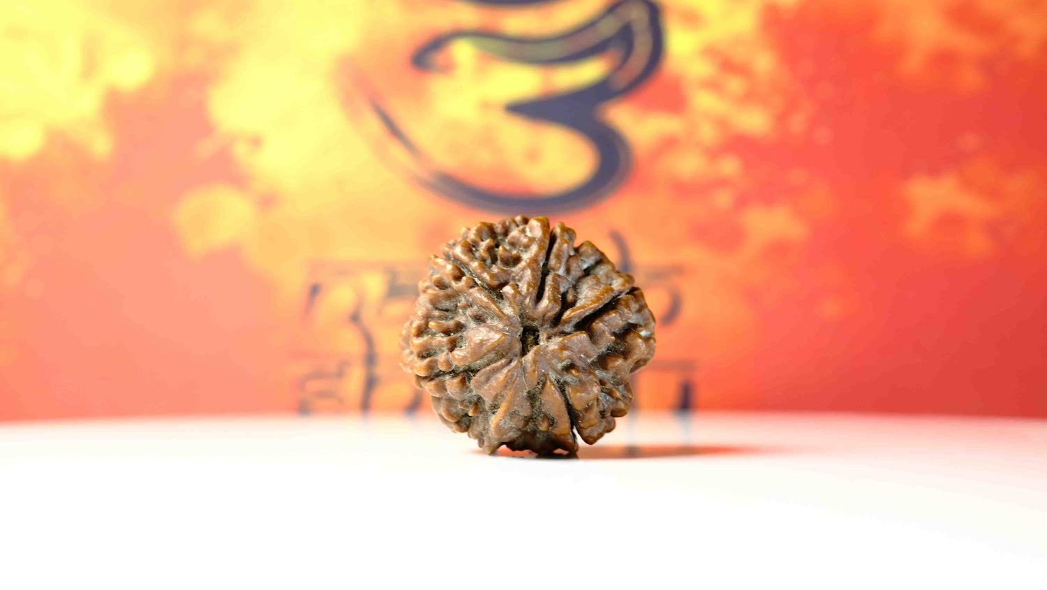 Six Mukhi 6 Face Premium Rudraksha – Confidence, Emotional Balance & Positivity
