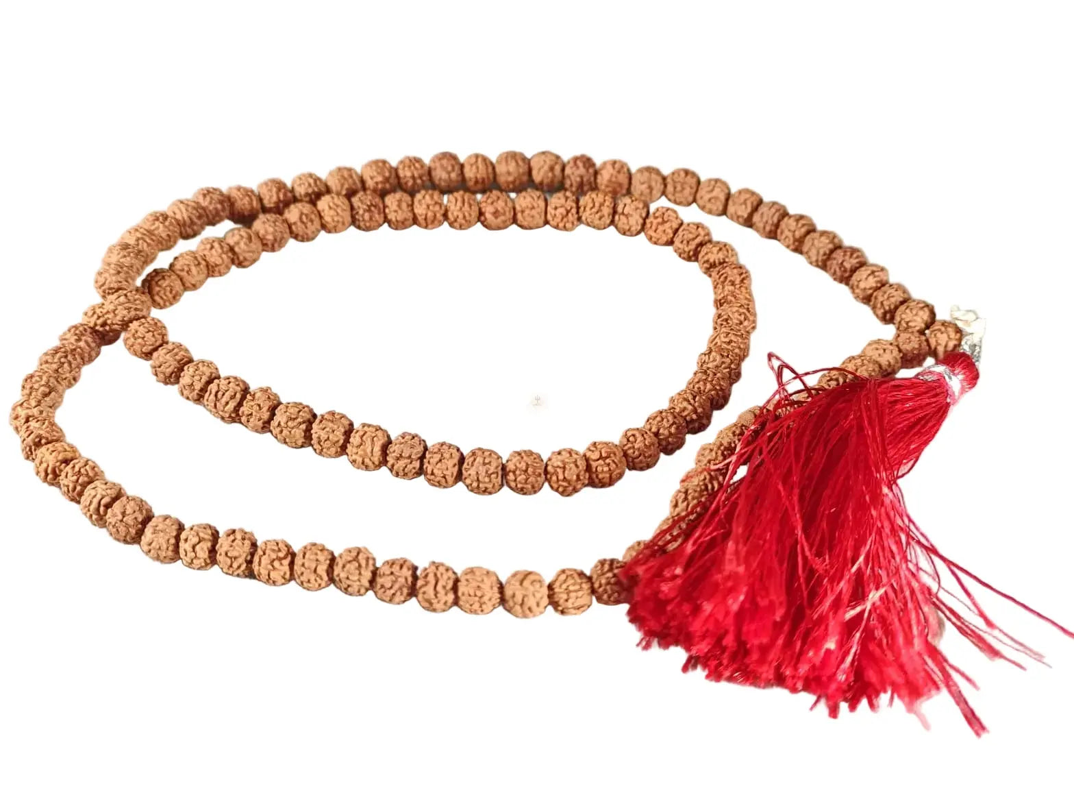 6 mukhi rudraksha mala original