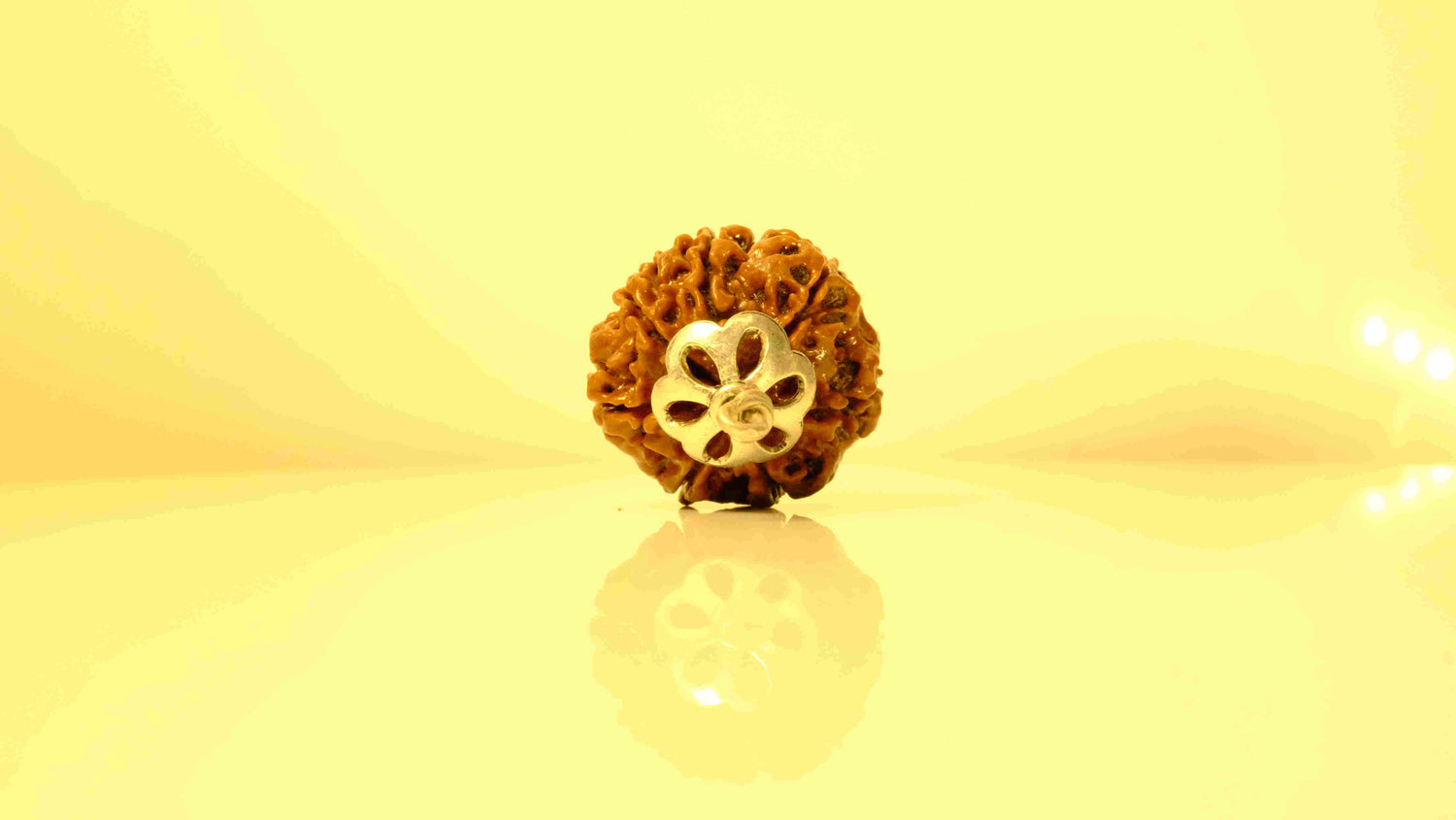 7 Mukhi Nepali Rudraksha with Silver Capping