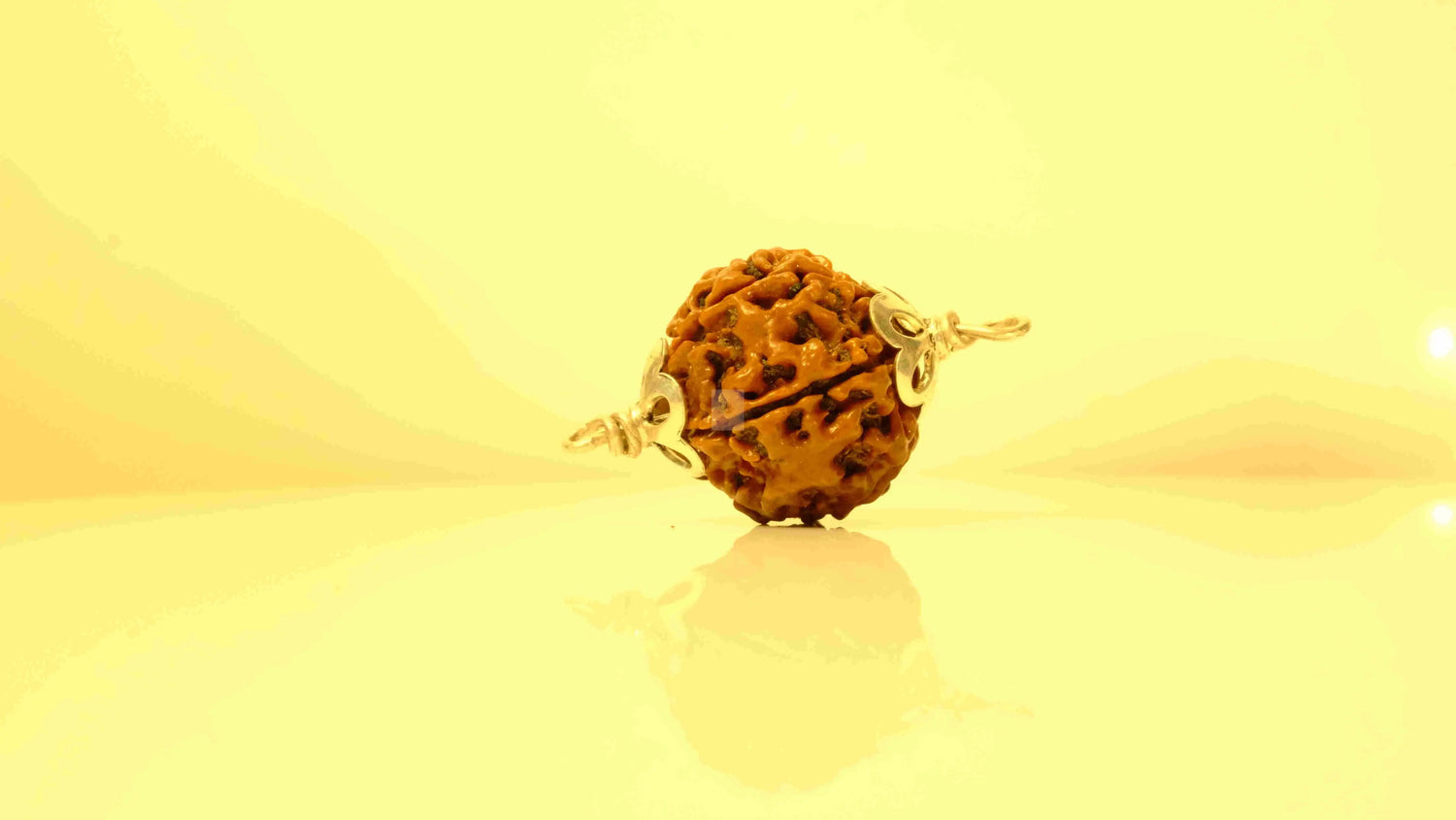 7 Mukhi Nepali Rudraksha with Silver Capping Rudra Kailash