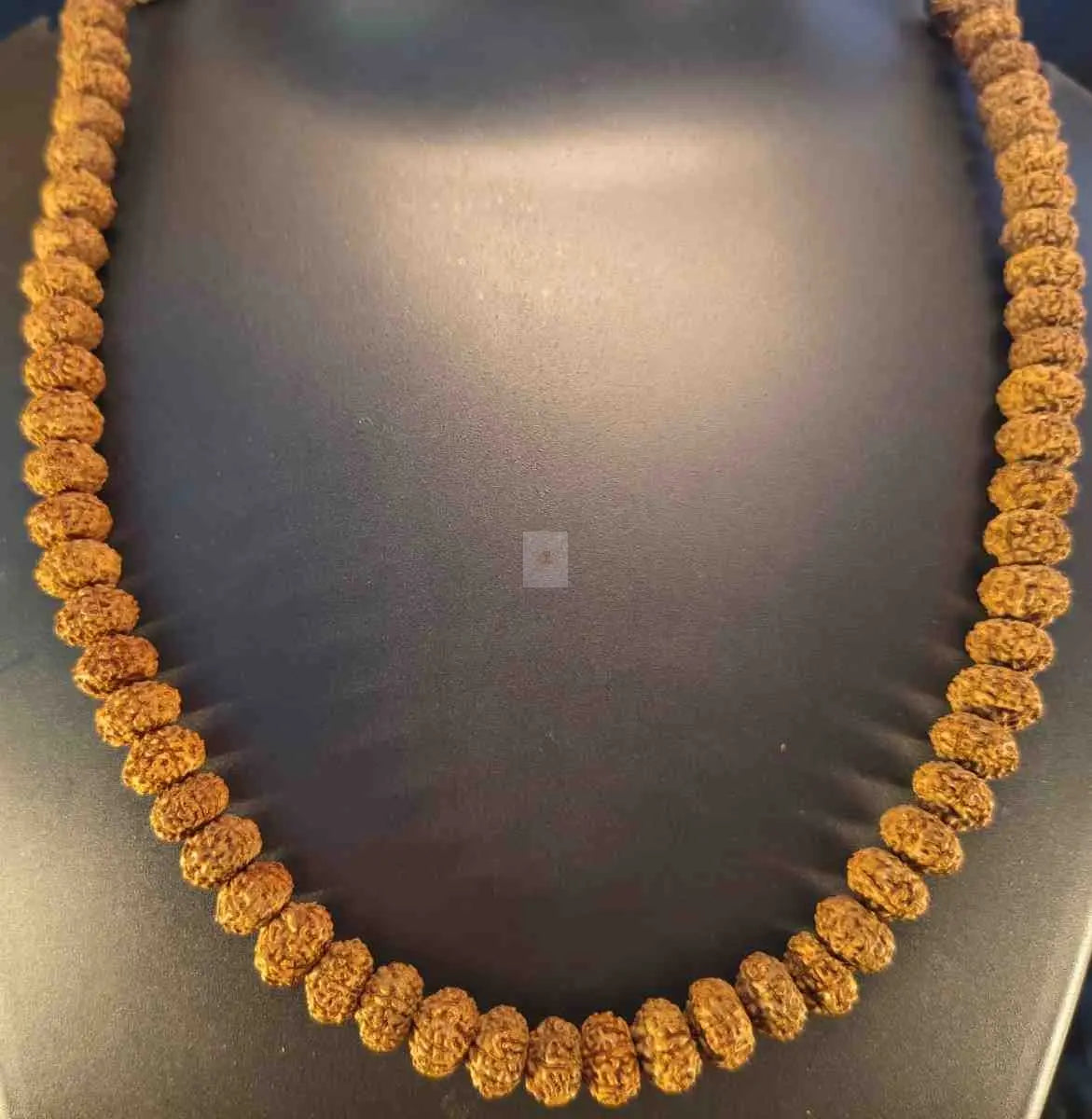 7 Mukhi Rudraksha Mala Rudra Kailash