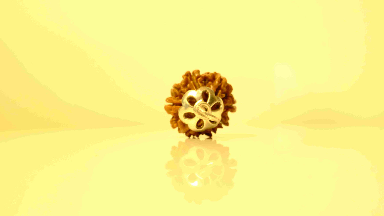 8 Mukhi Nepali Rudraksha with Silver Capping