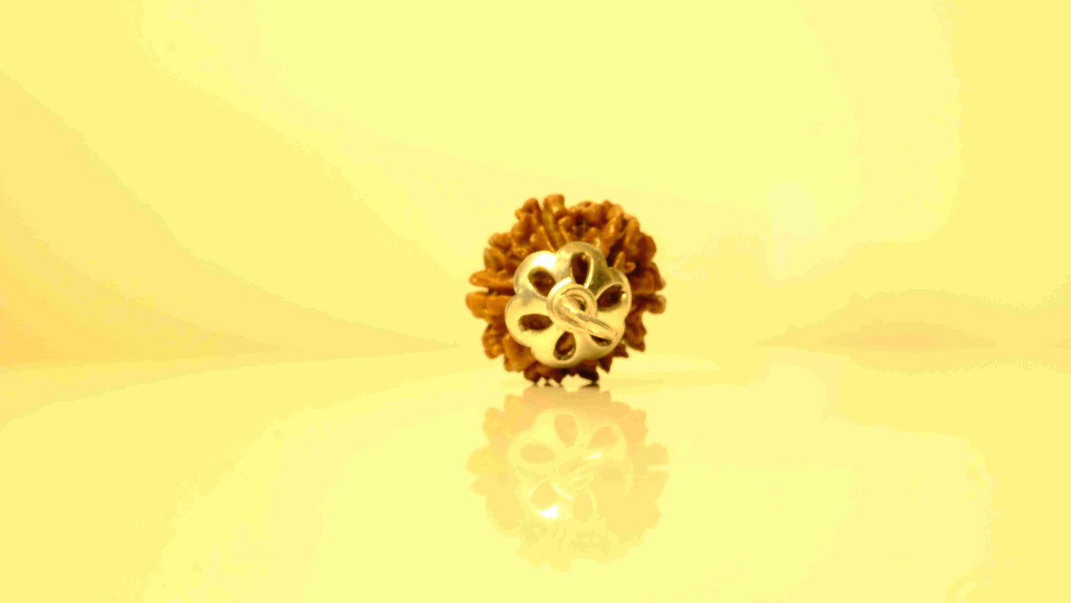 8 Mukhi Nepali Rudraksha with Silver Capping