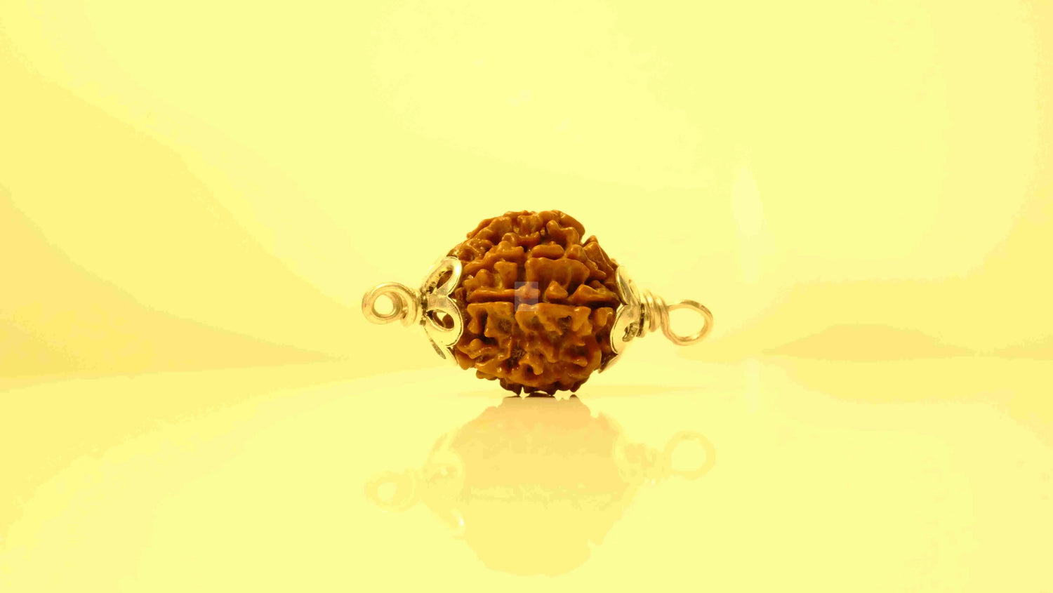 8 Mukhi Nepali Rudraksha with Silver Capping Rudra Kailash