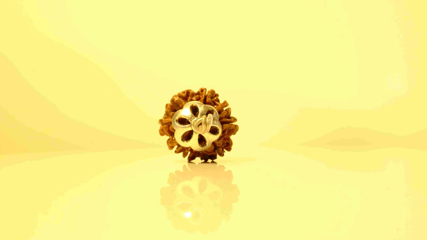 8 Mukhi Nepali Rudraksha with Silver Capping Rudra Kailash