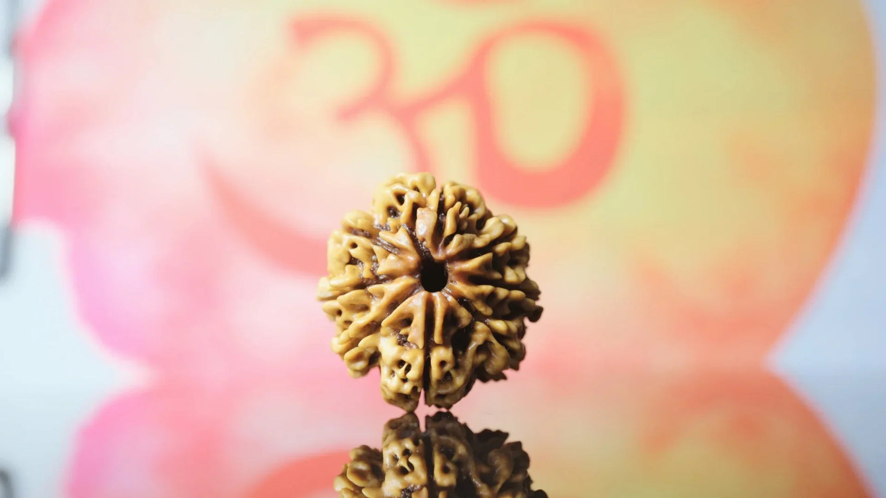 8 Mukhi Original Nepali Rudraksha Premium Collector