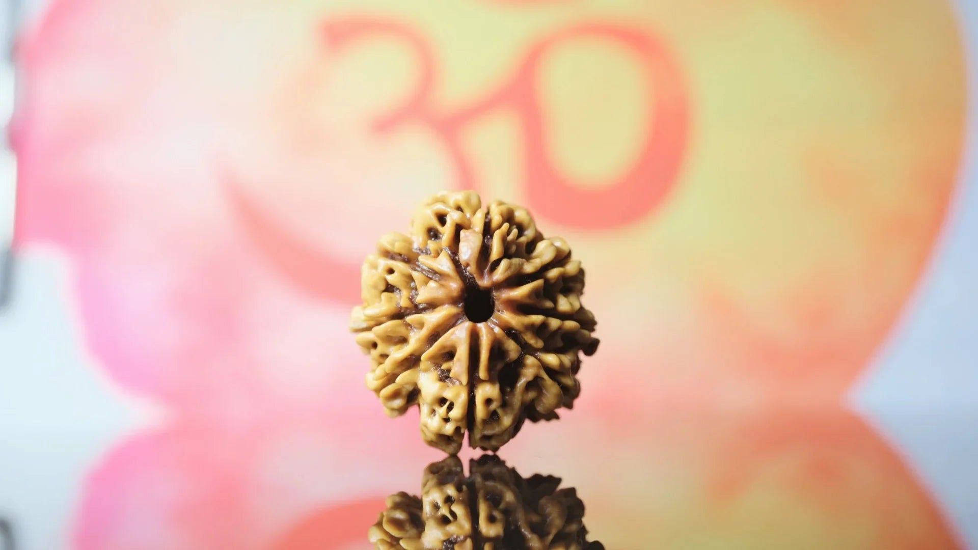 8 Mukhi Original Nepali Rudraksha Premium Collector