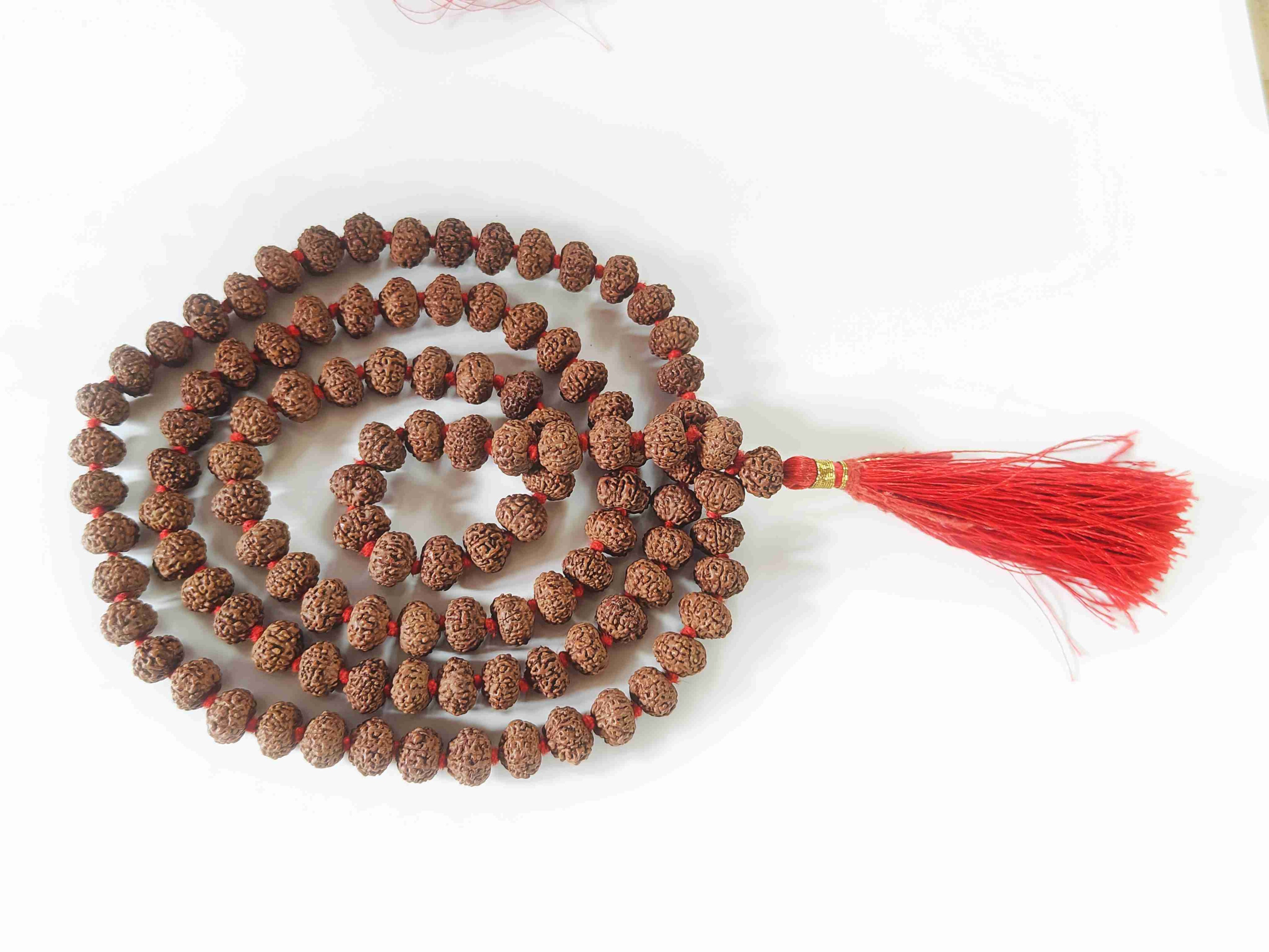 8 Mukhi Rudraksha Mala