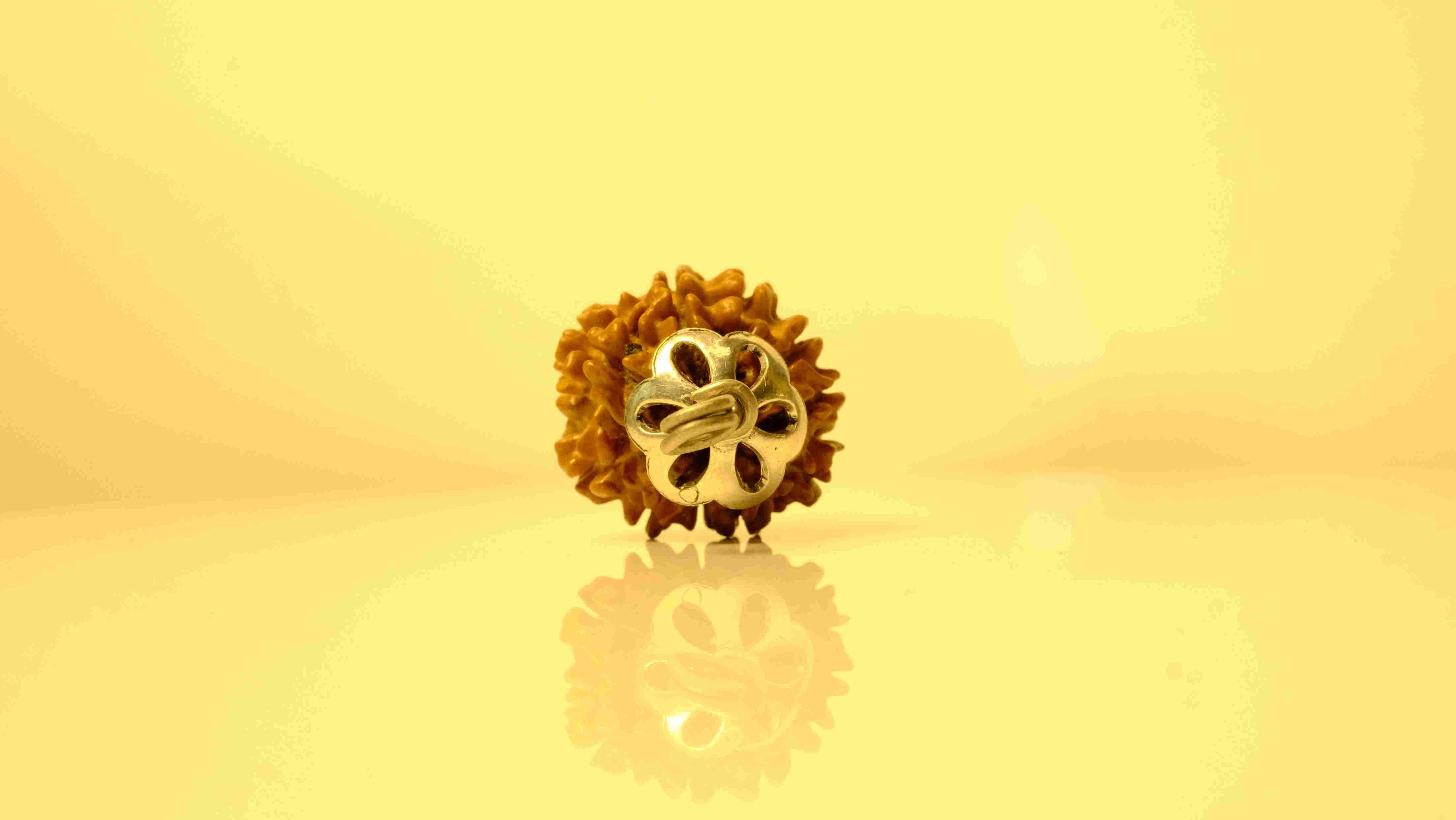 9 Mukhi Nepali Rudraksha with Silver Capping