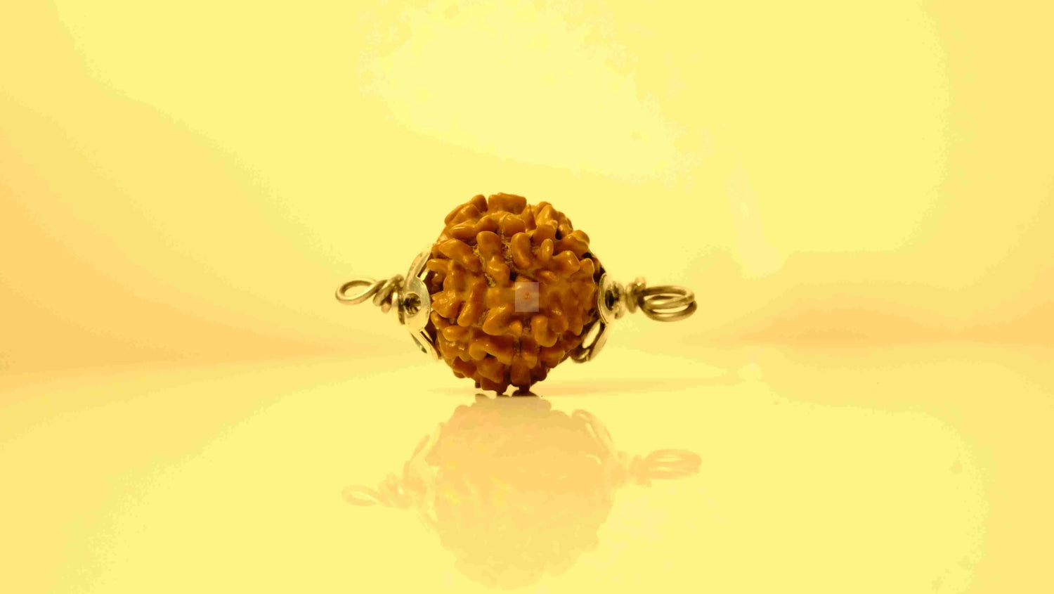 9 Mukhi Nepali Rudraksha with Silver Capping Rudra Kailash