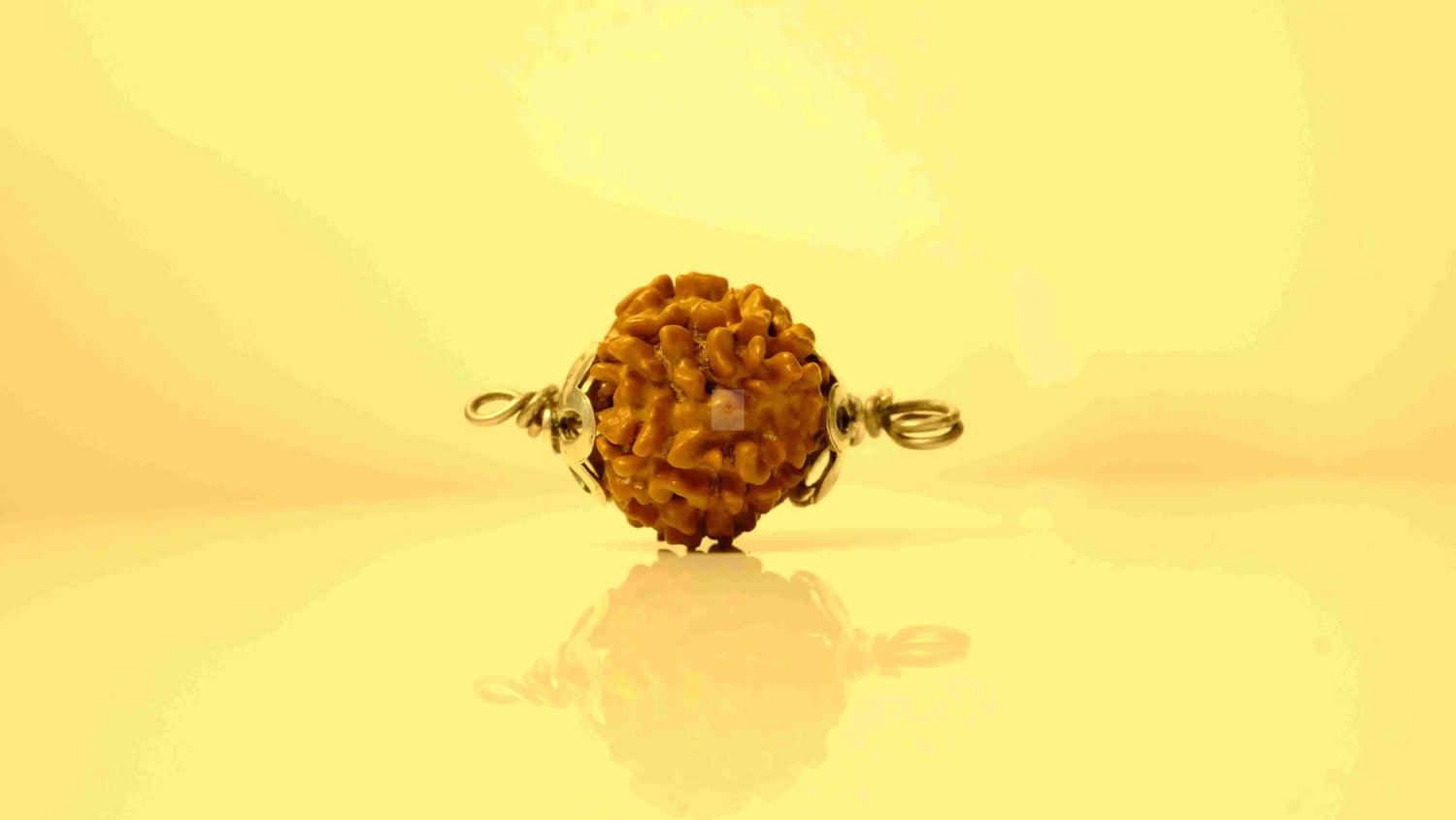 9 Mukhi Nepali Rudraksha with Silver Capping Rudra Kailash