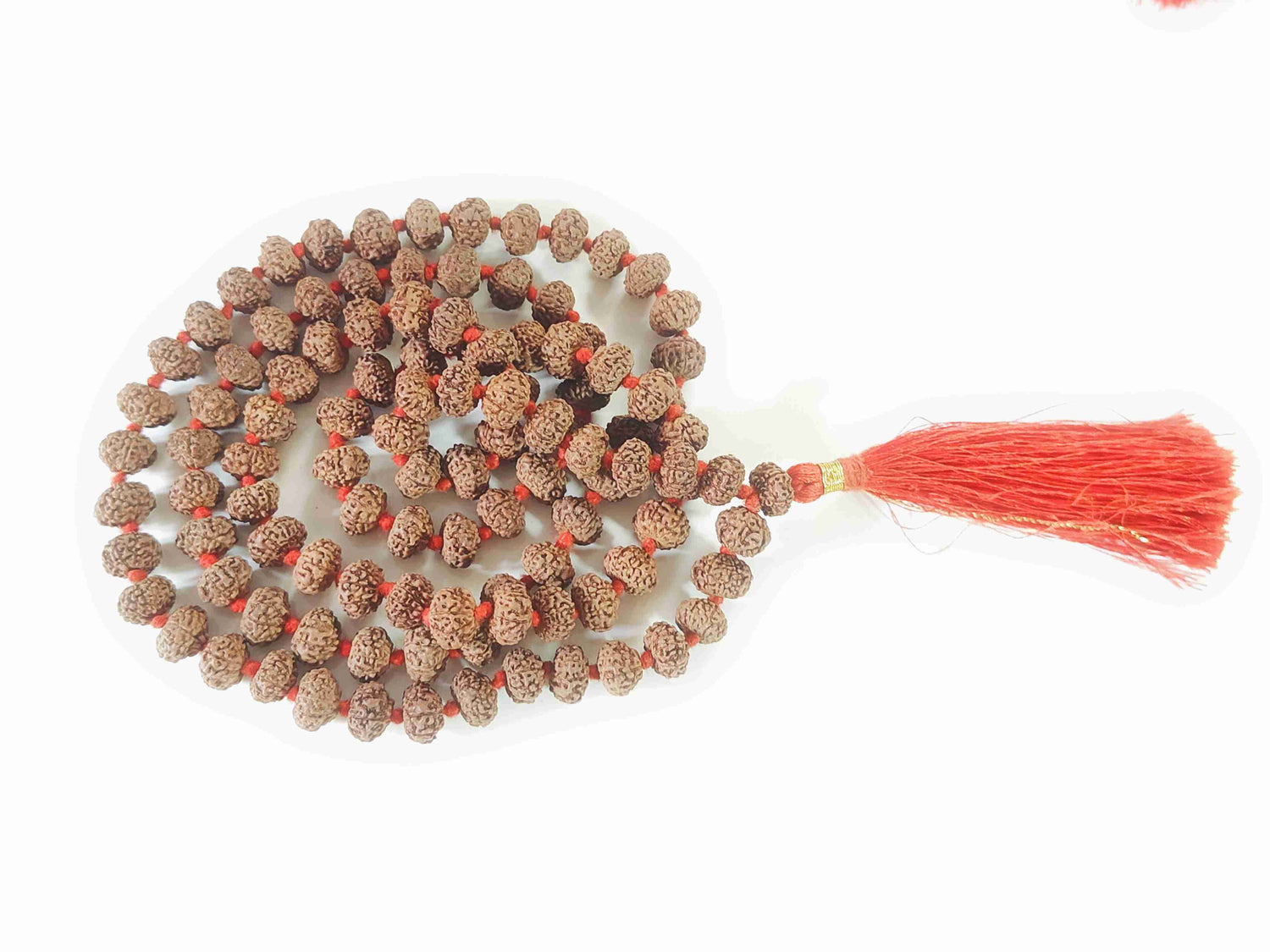 9 Mukhi Rudraksha Mala