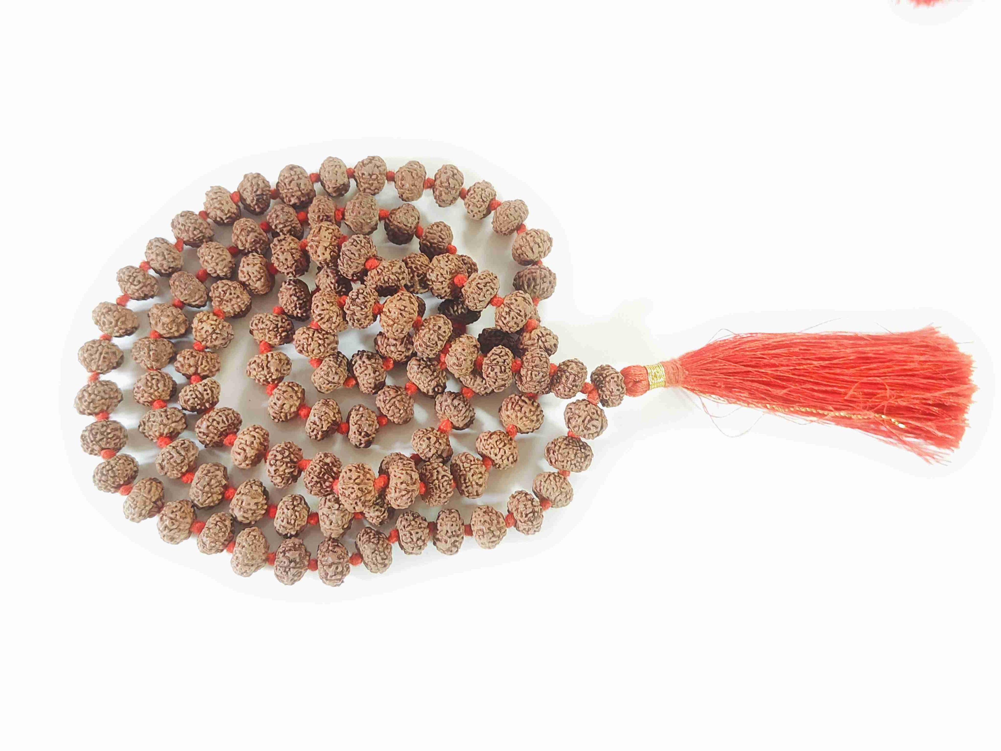 9 Mukhi Rudraksha Mala