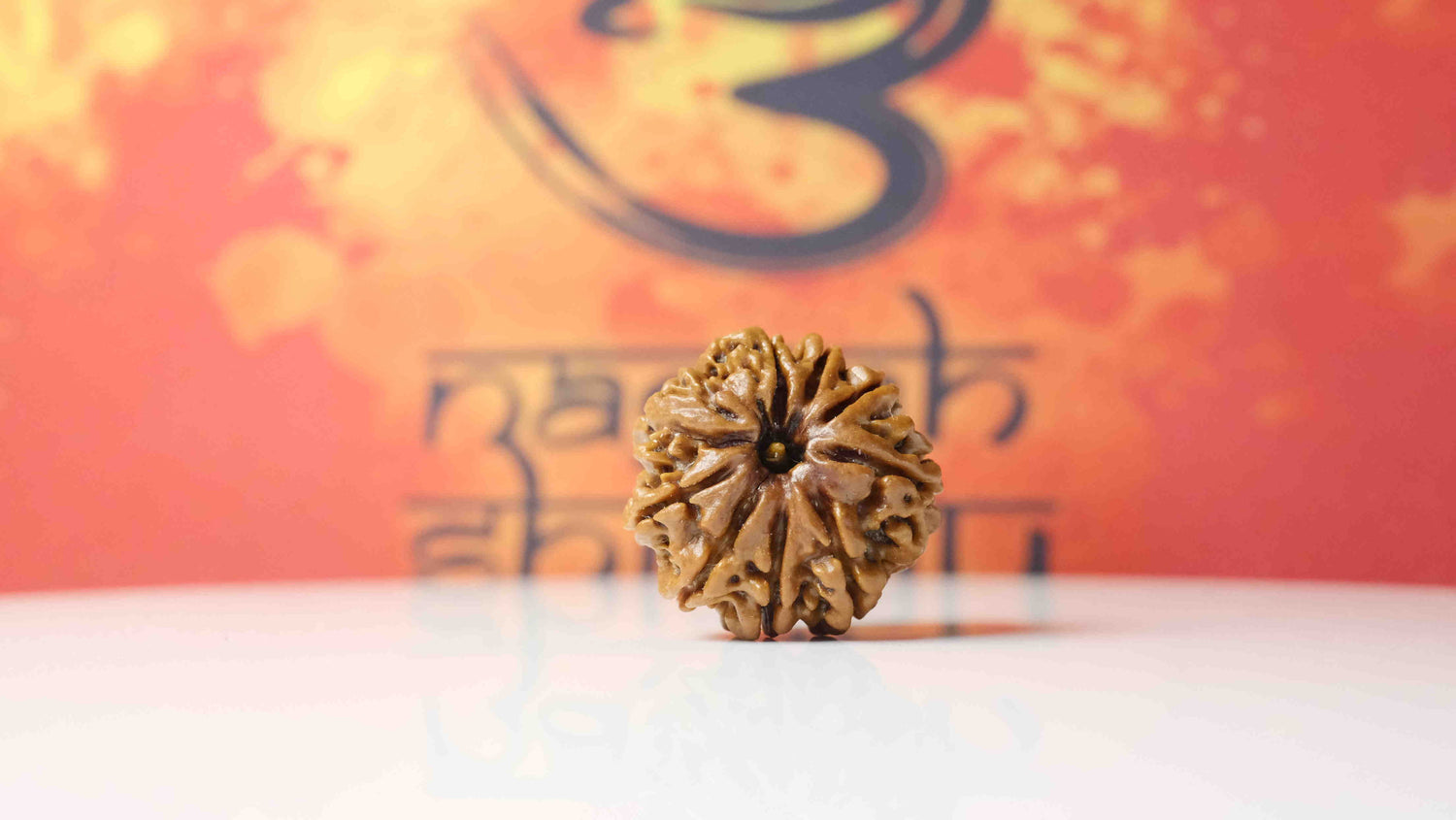 9 Mukhi Rudraksha