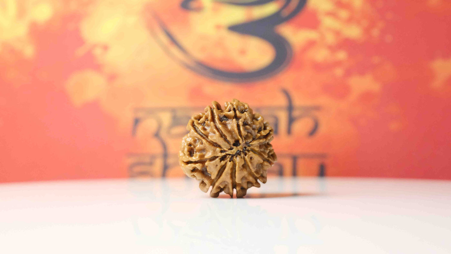 9 Mukhi Rudraksha