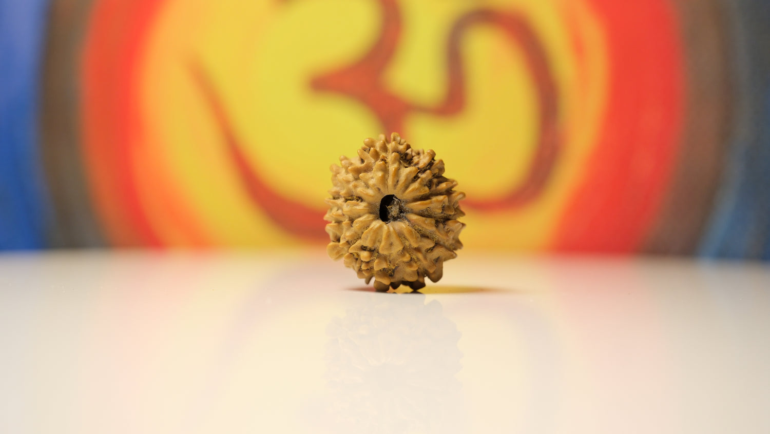 11 Mukhi Rudraksha