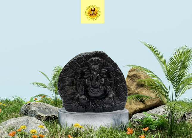 Ganesh Shaligram Idol – A Sacred Symbol of Blessings, Wisdom, and Prosperity
