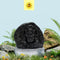 Ganesh Shaligram Idol – A Sacred Symbol of Blessings, Wisdom, and Prosperity