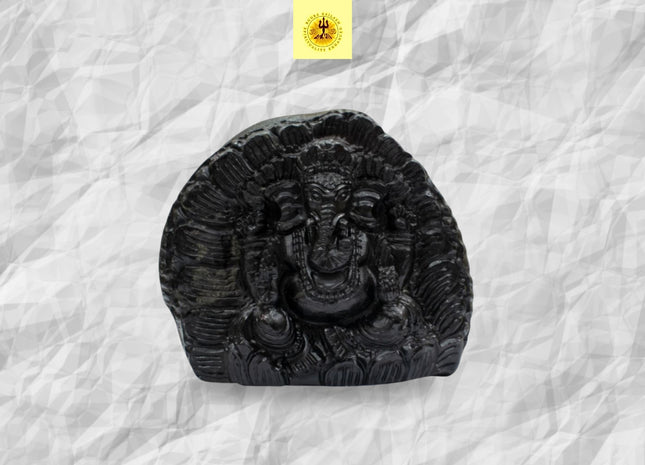 Ganesh Shaligram Idol – A Sacred Symbol of Blessings, Wisdom, and Prosperity