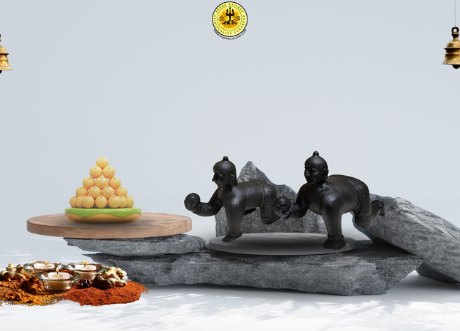Laddoo Gopal Ji Shaligram – Bring Home Bal Krishna in His Most Divine Form