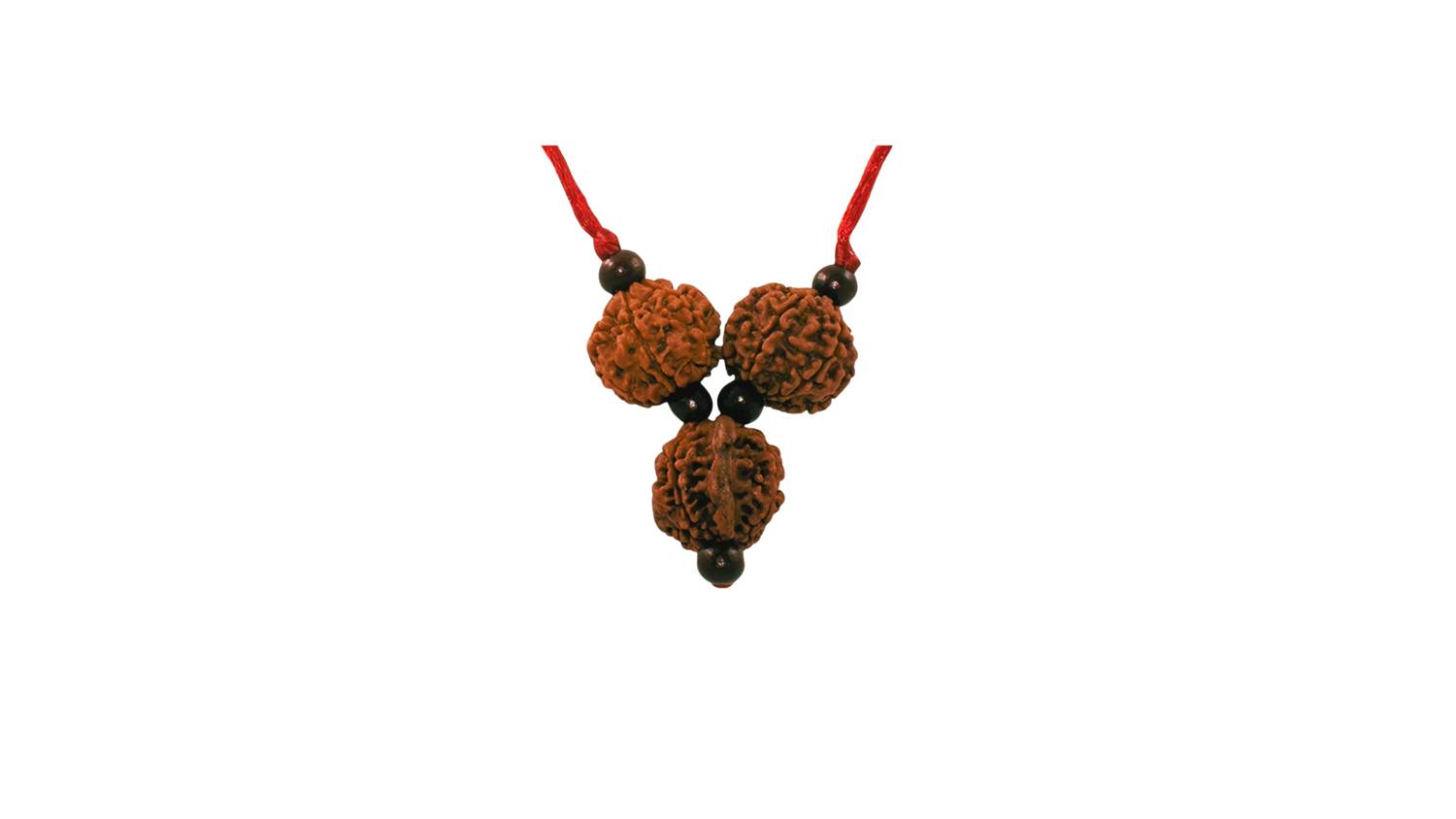 Rudraksha Mala for Business Professionals