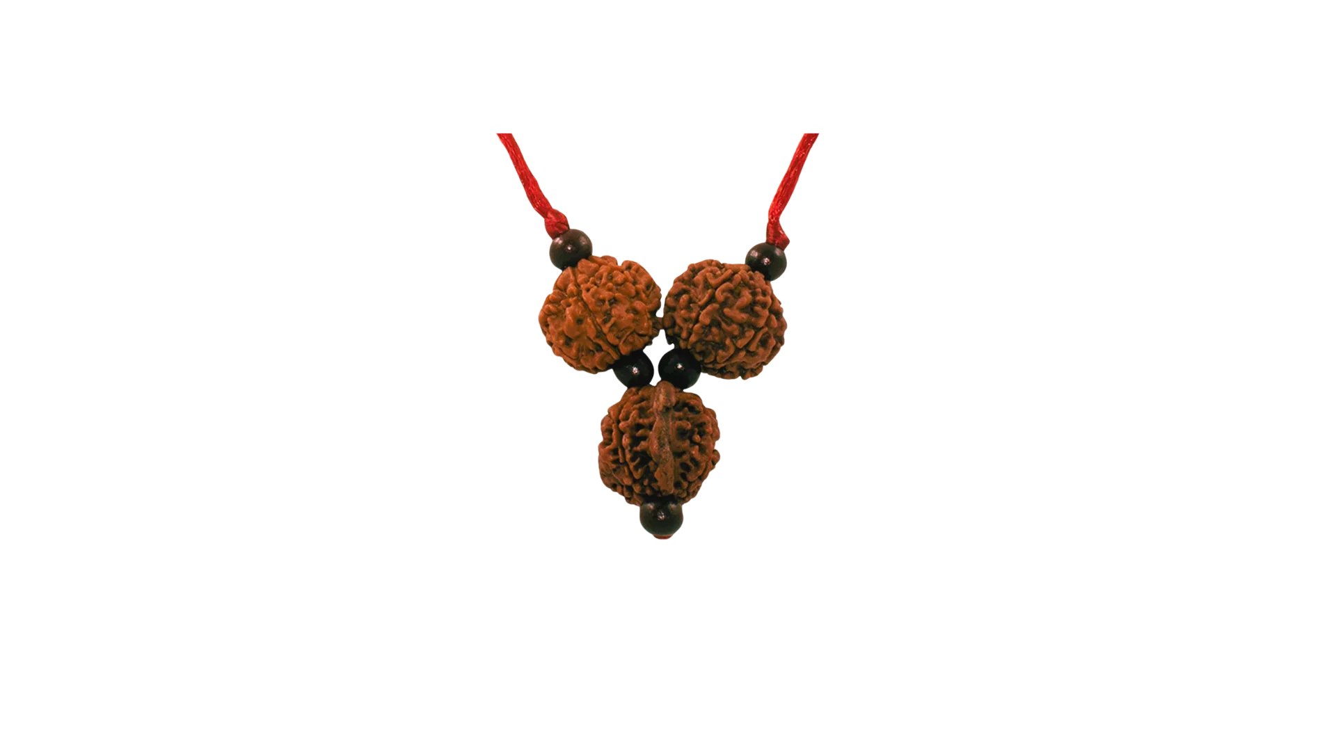 Rudraksha Mala for Business Professionals