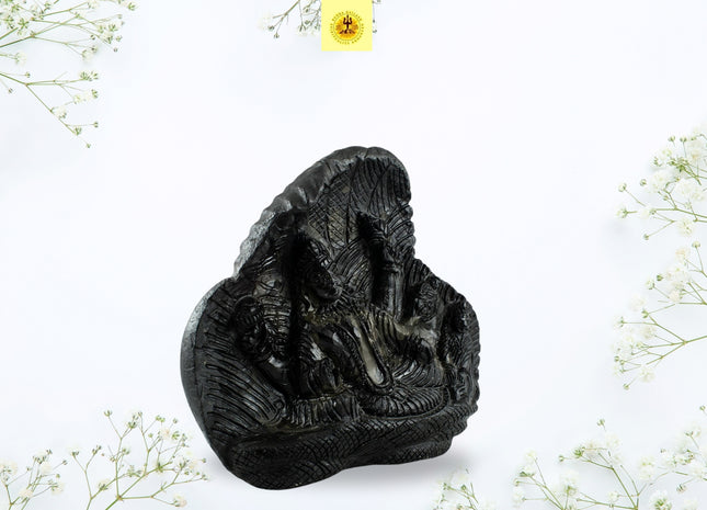 Lakshmi Narayan on Sudarshan Shaligram – Sacred Symbol of Wealth & Divine Energy