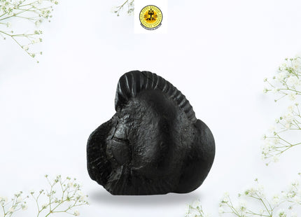 Lakshmi Narayan on Sudarshan Shaligram – Sacred Symbol of Wealth & Divine Energy