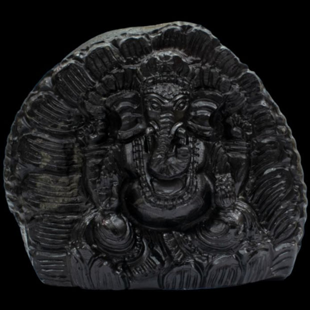 <h3>Ganesh Ji Shaligram</h3>