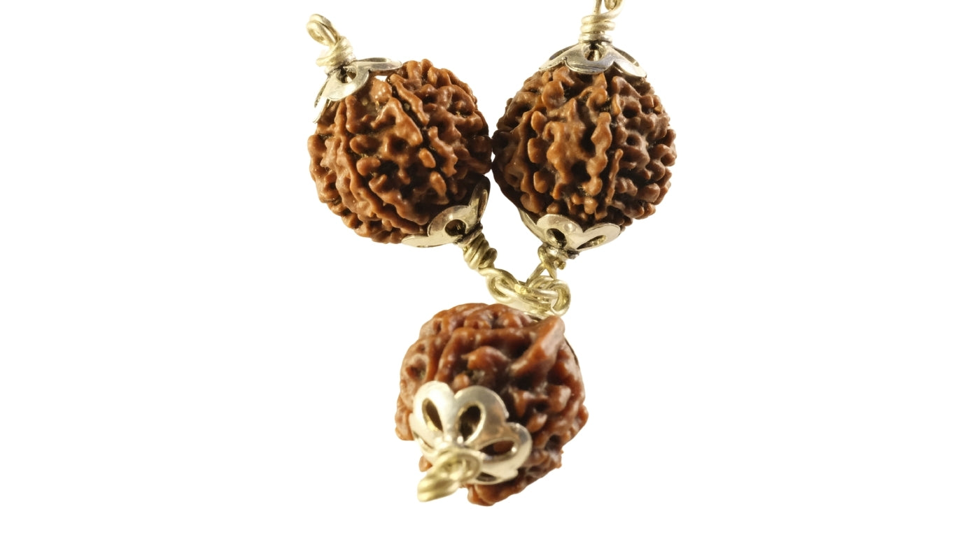 Shree Ganesh Lakshmi Bandh: The Ultimate Wealth and Opportunity Kavach (7, 7, & Ganesh Mukhi)