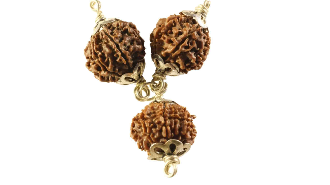 Shubh Labh Suraksha Kavach: The Trio of Fortune, Success, and Protection (7, 8, & 9 Mukhi)