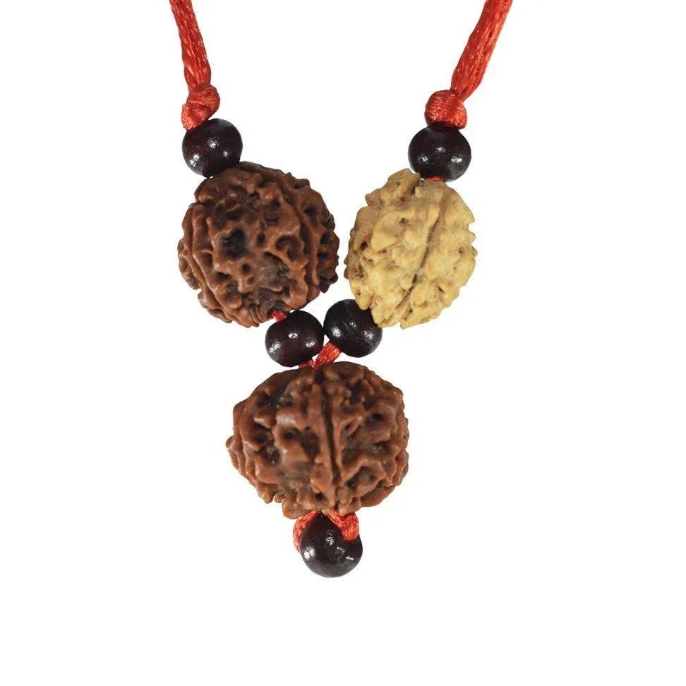 Brain Power Rudraksha Mala - Rudra Kailash