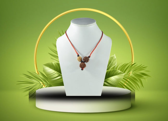 Brain Power Rudraksha Mala - Rudra Kailash