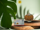 Eight Mukhi 8 Face Rudraksha - Collector - Rudra Kailash