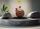 Eight Mukhi 8 Face Rudraksha - Medium III - Rudra Kailash