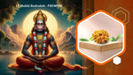 Eleven Mukhi 11 Face Rudraksha Premium: Lord Hanuman Power, Boosts Willpower, Concentration - Rudra Kailash
