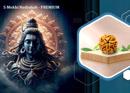 Five Mukhi 5 Face Premium Rudraksha – Peace, Protection, Spiritual Growth - Rudra Kailash