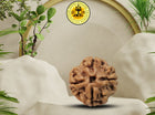 Four Mukhi 4 Face Rudraksha - Regular - Rudra Kailash